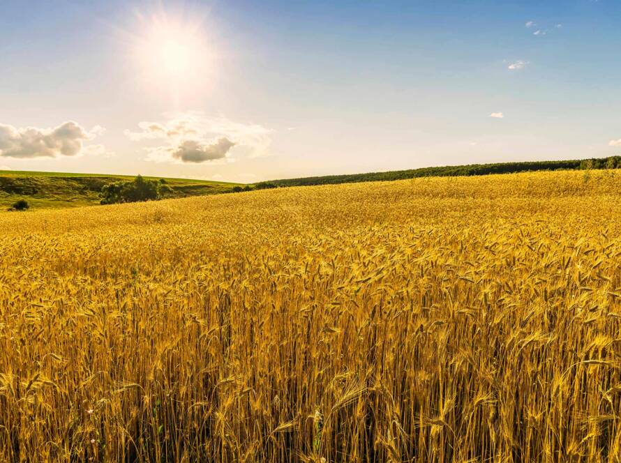 Digitalize Production